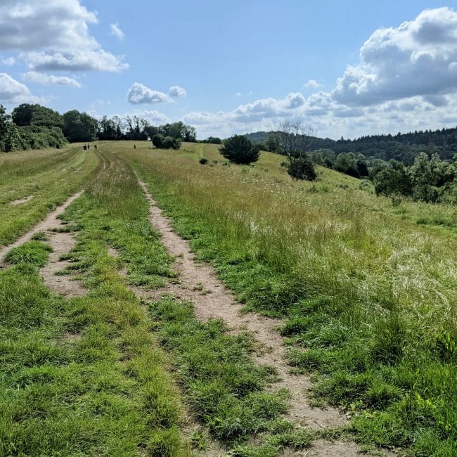 The top of Pewley Downs