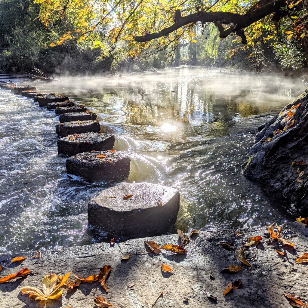 walking-trail-for-box-hill-dorking-in-surrey-passing-the-stepping-stones