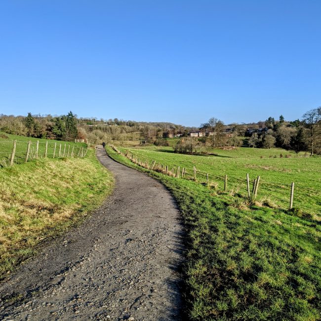 Path between Serpentine Wood and Gatton Park