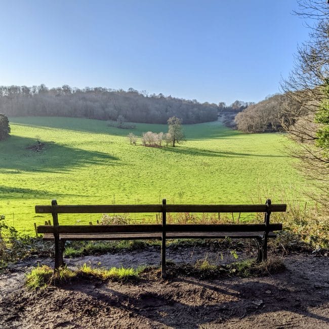 view of Gatton Park