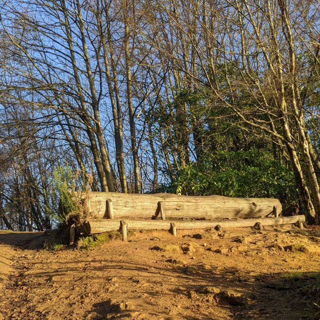 Hascombe Hill bench