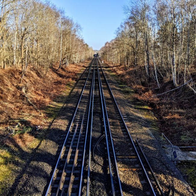 Railway Line, Whitmoor Common East