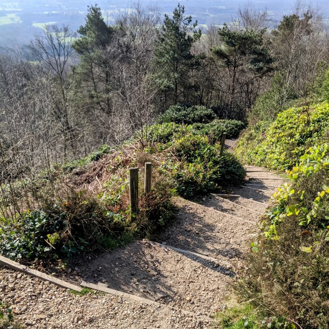Steps leading down to Leith Hill Place Woods