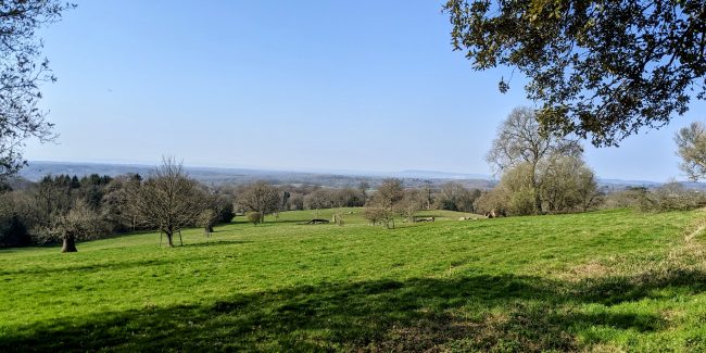 View from Leith Hill Place