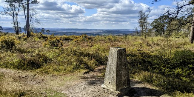 Trig point on Black Down